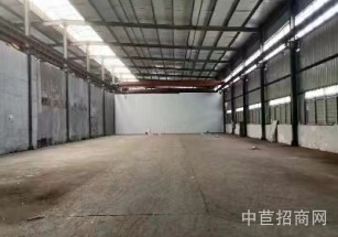 崧盈路12米單層廠房青浦104地塊單層廠房出租 租金低 無公攤