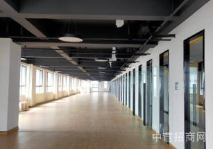 梁杭商務園松江九亭 104醫療器械研發辦公出租 展廳倉儲交通便利