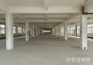 松江九亭獨棟廠房出租底樓面積可選采光好環氧地坪 松江九亭組裝輕加工廠房出租