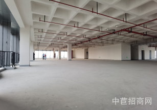 臨港康橋商務綠洲浦東康橋廠房出租 近地鐵和高速口 交通便利