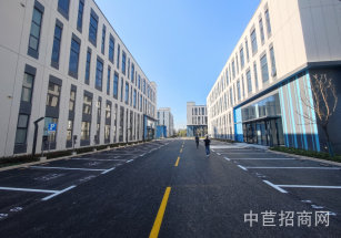 金地威新·金山智造園亭林廠房出租 104地塊 10米層高 可做隔層