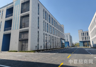 金地威新·金山智造園亭林獨(dú)棟廠房出租 帶行車 4t貨梯 形象好空地大