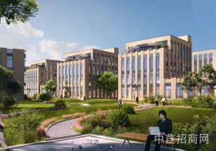 長江智谷科技園二期小面積獨棟廠房出售，開發區總部獨棟出售，贈送露臺