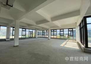 金領(lǐng)谷 科技產(chǎn)業(yè)園閔行原房東獨(dú)棟廠房出租，無公攤廠房出租，免租期可談