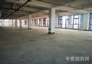 金領(lǐng)谷 科技產(chǎn)業(yè)園浦西廠房出租，閔行大平層廠房出租，丙類消防帶噴淋