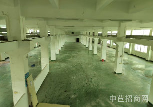 東莞市清溪鎮東莞清溪鎮獨院廠房