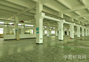 東莞市清溪鎮東莞清溪鎮獨院廠房