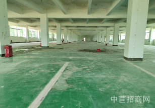 東莞市清溪鎮東莞清溪鎮獨院廠房