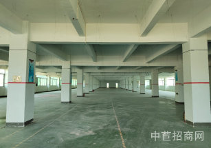 東莞市清溪鎮東莞清溪鎮獨院廠房