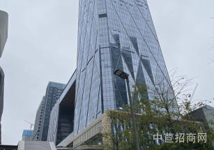 邯鄲市成安縣寫字樓出售商務聯排花園公館成安縣18900平辦公寫字樓出售知名物業返稅政策