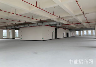 開幕啦城市更新園顓橋原房東廠房出租，超高得房率，大柱距，方便布局