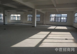 奉賢武勝智慧科創園奉賢柘林廠房出租環氧地平可環評近高速無稅收要求