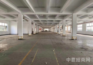 臨港平海路廠房出租奉賢四團廠房出租面積可分割104板塊可環評大空地貨梯2噸