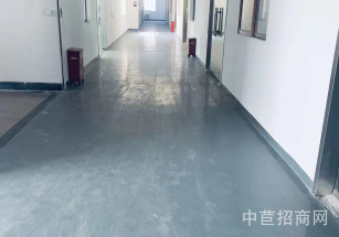 臨港平海路廠房出租奉賢四團廠房出租面積可分割104板塊可環評貨梯2噸帶宿舍
