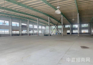 楓涇環東一路20000平獨院