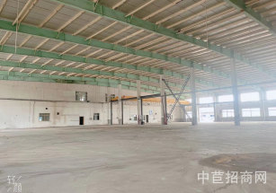 楓涇環(huán)東一路20000平獨(dú)院金山楓涇廠房出租 面積可分 行業(yè)不限 104地塊