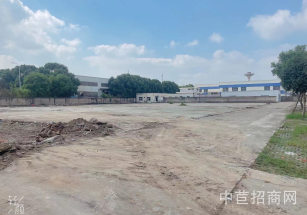 楓涇環東一路20000平獨院楓涇單層廠房出租 層高7米 園區配套全 空地大 大車進出方便