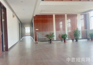 楓涇環(huán)東一路20000平獨(dú)院楓涇單層獨(dú)院廠房出租 近高速口 證件齊全 交通便利