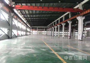 金山楓涇建定路13米單層廠房