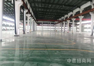 金山楓涇建定路13米單層廠房楓涇單層稀少可環(huán)評廠房 面積可分割 生產(chǎn)加工倉儲等