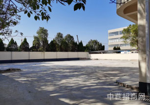 車墩莘莘路獨院廠房車墩倉儲貿易廠房出租，獨院廠房出租，可搭雨棚