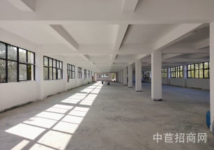 車墩莘莘路獨院廠房大平層廠房出租，車墩工業區104廠房出租，交通便捷
