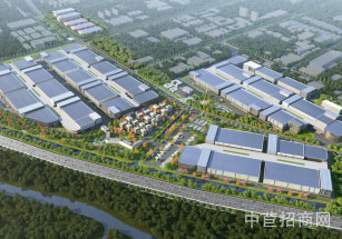 銀河一號產業園楓涇單層廠房出租 華平資本投資建設 形象好 空地大