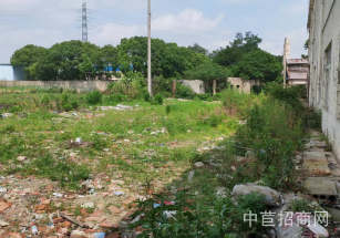 金山呂巷金張公路10米單層廠房金山呂巷廠房出租 證件齊全 空地大 大車進出方便