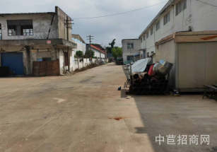 金山呂巷金張公路10米單層廠房