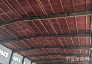 金山呂巷金張公路10米單層廠房呂巷稀缺單層廠房出租 房東直租 無公攤 面積可分