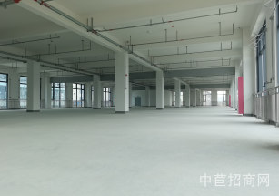 新必產業園新出一手廠房出租，浦江廠房出租，車位充足，配套齊全