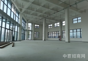 新必產業園出租浦江大平層廠房，有燃氣管道，大跨度，布局合理