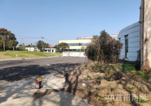 浦東祝橋38000平單層廠房