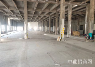 浦東祝橋38000平單層廠房浦東機場旁框架廠房出租，大小面積可分割