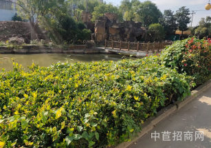 浦東祝橋38000平單層廠房浦東祝橋小面積獨棟辦公樓出租，精裝修，適合商業會談