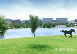 成都市郫都區寫字樓出售精裝修辦公研發郫都區辦公寫字樓出售獨立產證，商業成熟