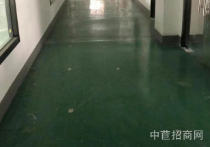 萬年青產業園青浦廠房出租 園區形象好 配套食堂 車位足