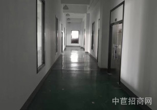 萬年青產業園青浦廠房出租 丙二類消防 可環評