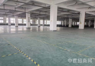 萬年青產業園青浦廠房出租 園區配套全 空地大 停車方便