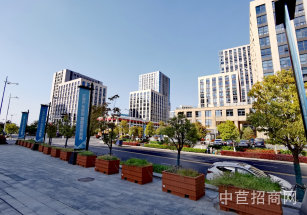 南京市雨花臺區軟件谷科創園