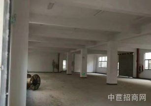 練塘君博路廠房出租青浦廠房出租 空地大 停車方便大車進出方便