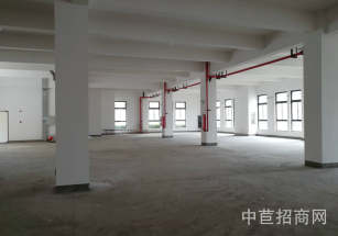 閔行25畝獨院工業廠房出售