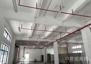 老閔行獨棟廠房出租閔行江川路原房東廠房出租，出門公交站，交通便捷