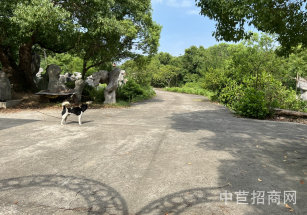 松江經開區10畝獨院空地出售松江中山街道10畝獨門獨院廠房出售，位置優越