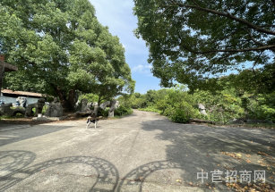 松江經開區10畝獨院空地出售中山街道獨門獨院104廠房出售，占地10畝可再建