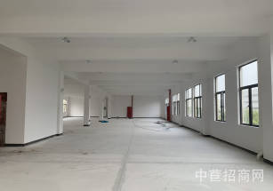 金山楓涇獨棟廠房出售