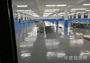 徐涇15畝獨院出售