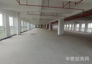 G60微衡科技園九亭核心位置廠房出租 組裝裝配 研發(fā)實驗 電商倉儲 精密電子