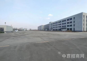 臨港單層廠房出租