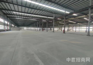 臨港單層廠房出租臨港稀缺單層廠房出租 低價出租 適合各類業(yè)態(tài)